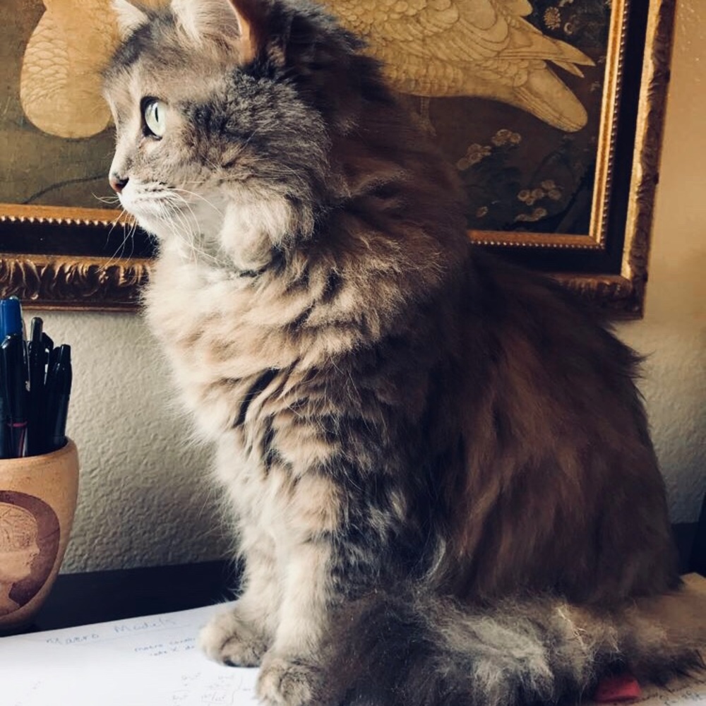 Meet your Posher, Jaclyn